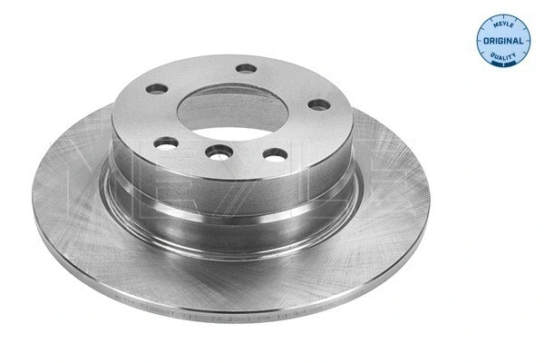 Brake Disc (315 523 0048)