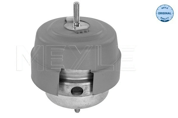 Mounting, engine (100 199 0189)