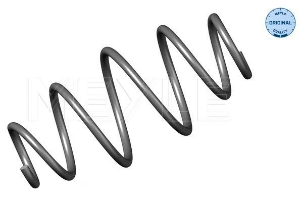 Suspension Spring (614 739 0000)