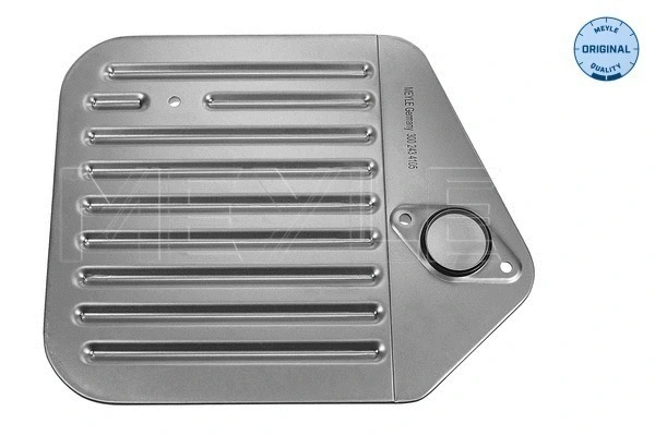 Hydraulic Filter, automatic transmission (300 243 4105)