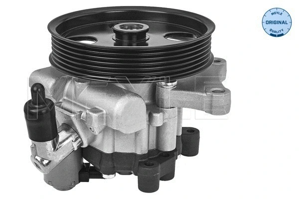 Hydraulic Pump, steering (014 631 0016)