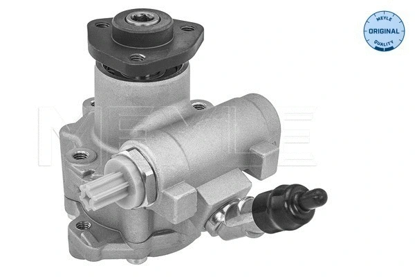 Hydraulic Pump, steering (314 631 0029)