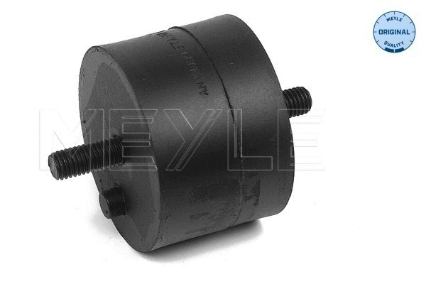 Mounting, engine (300 118 1101)