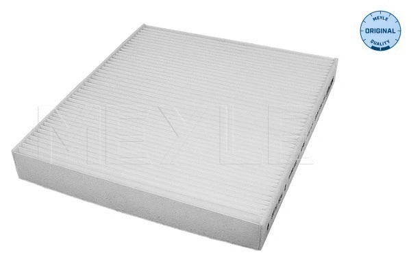 Filter, cabin air (612 319 0002)