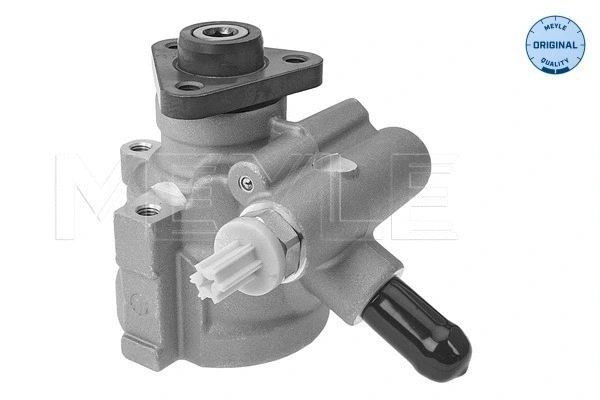 Hydraulic Pump, steering (214 631 0010)