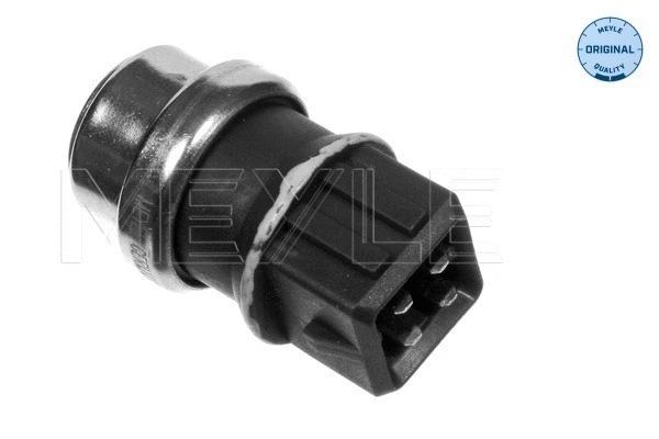 Sensor, coolant temperature (100 800 9053)