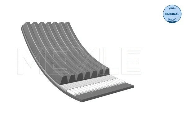 V-Ribbed Belt (050 007 2875)