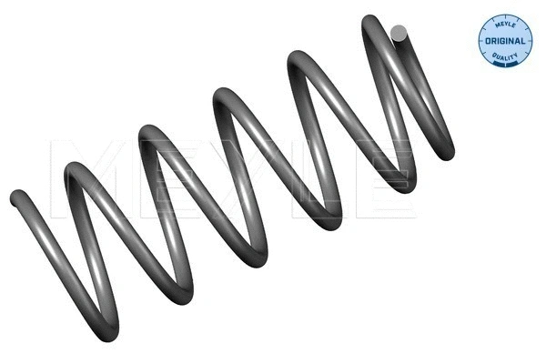 Suspension Spring (100 639 0013)