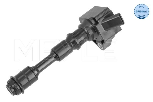 Ignition Coil (514 885 0008)