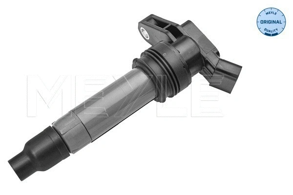 Ignition Coil (514 885 0007)