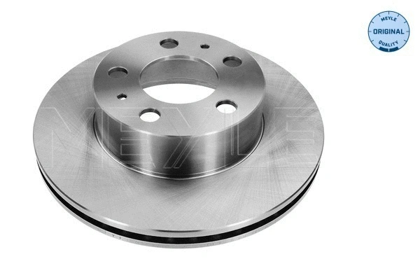 Brake Disc (515 521 5004)