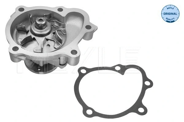 Water Pump, engine cooling (31-13 220 0013)