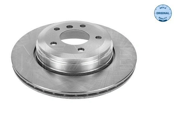 Brake Disc (315 523 0047)