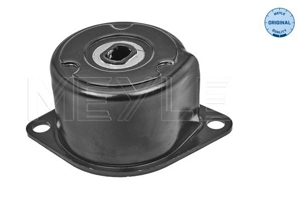 Belt Tensioner, V-ribbed belt (100 903 1130)