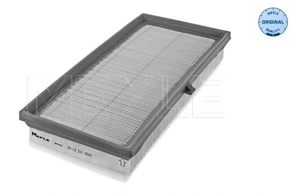 Air Filter (30-12 321 0042)