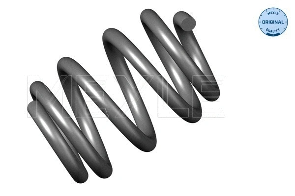 Suspension Spring (100 739 0043)