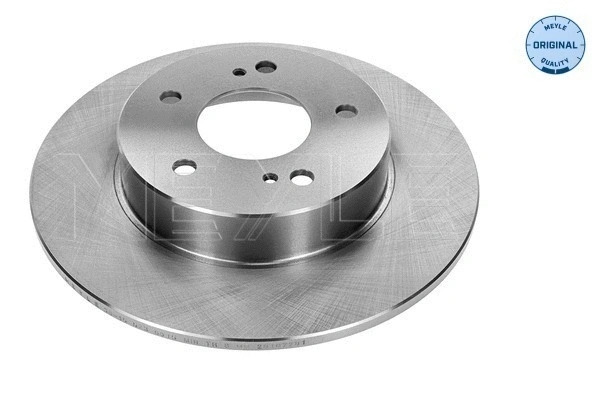 Brake Disc (36-15 523 0015)