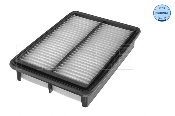 Air Filter (37-12 321 0029)