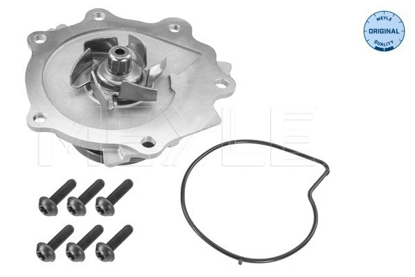 Water Pump, engine cooling (513 220 0005)