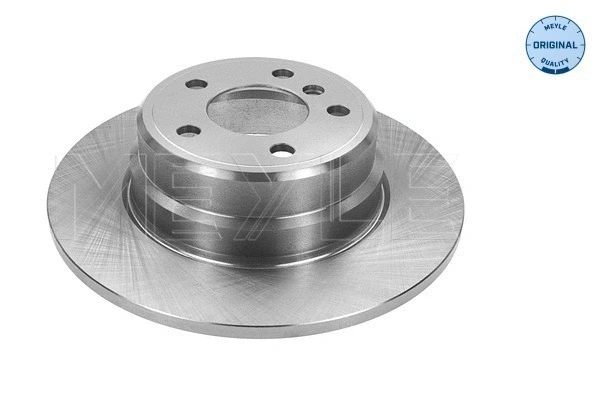 Brake Disc (315 523 0042)