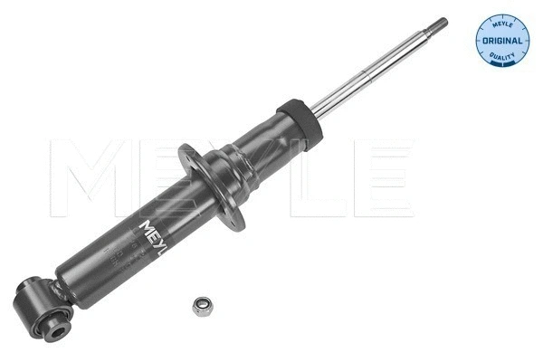 Shock Absorber (326 725 0031)