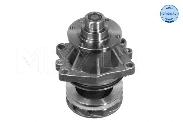 Water Pump, engine cooling (313 011 2001)