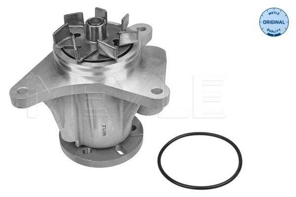 Water Pump, engine cooling (53-13 220 0007)
