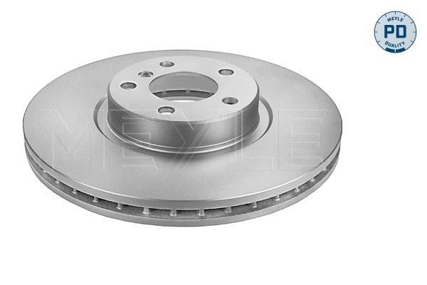 Brake Disc (383 521 0005/PD)