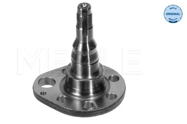 Steering Knuckle, wheel suspension (100 501 0036)