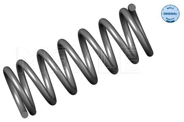 Suspension Spring (100 639 0023)