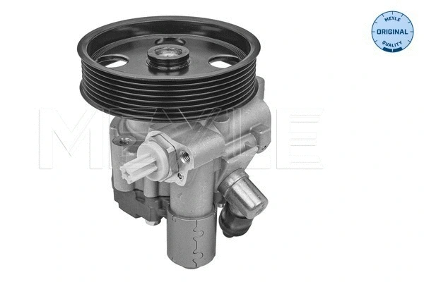 Hydraulic Pump, steering (014 631 0029)