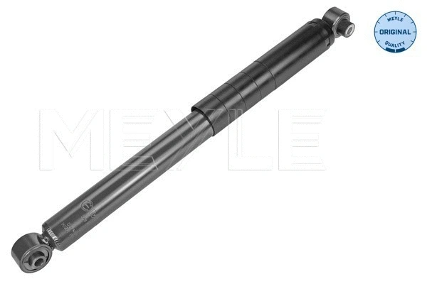 Shock Absorber (226 725 0015)