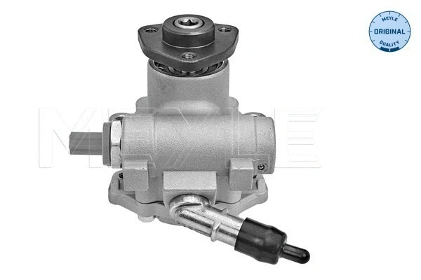 Hydraulic Pump, steering (314 631 0023)
