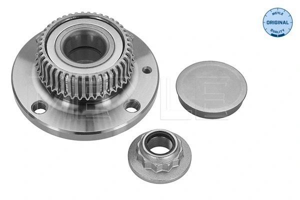 Wheel Hub (100 752 0007)