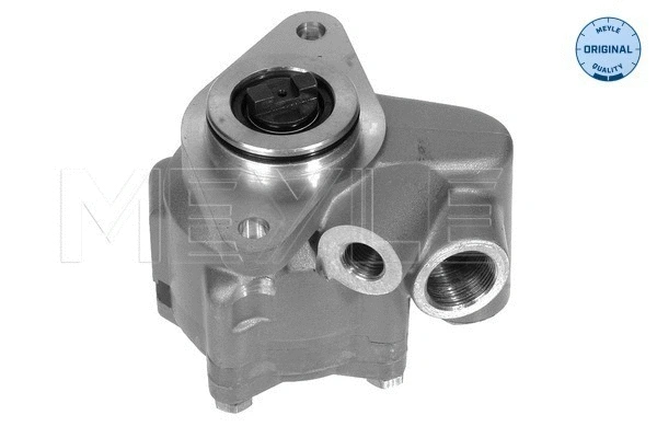 Hydraulic Pump, steering (034 046 0012)