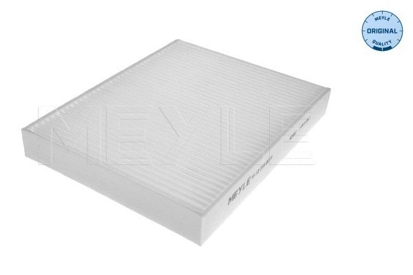 Filter, cabin air (11-12 319 0011)