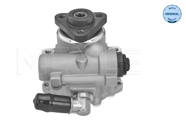 Hydraulic Pump, steering (114 631 0054)