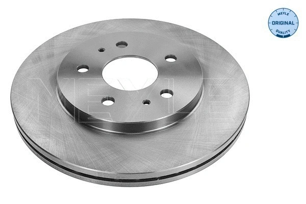 Brake Disc (39-15 521 0005)