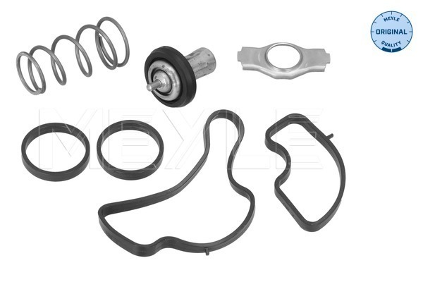 Thermostat, coolant (228 228 0010)