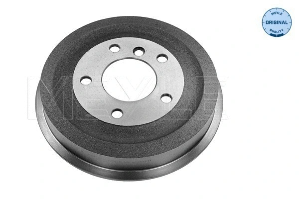 Brake Drum (315 523 3079)