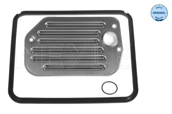 Hydraulic Filter Kit, automatic transmission (100 398 0004)