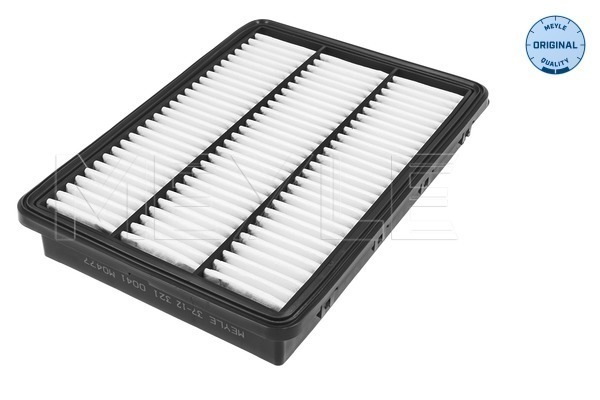 Air Filter (37-12 321 0041)