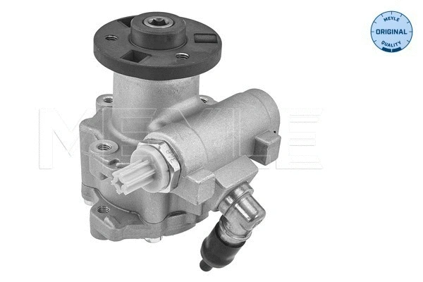 Hydraulic Pump, steering (314 631 0031)