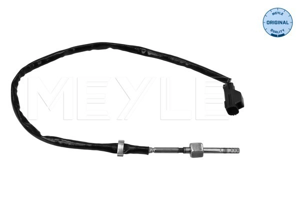 Sensor, exhaust gas temperature (214 800 0060)