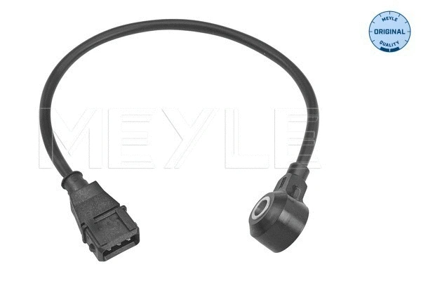 Knock Sensor (614 811 0001)