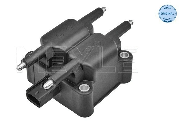 Ignition Coil (314 885 0010)