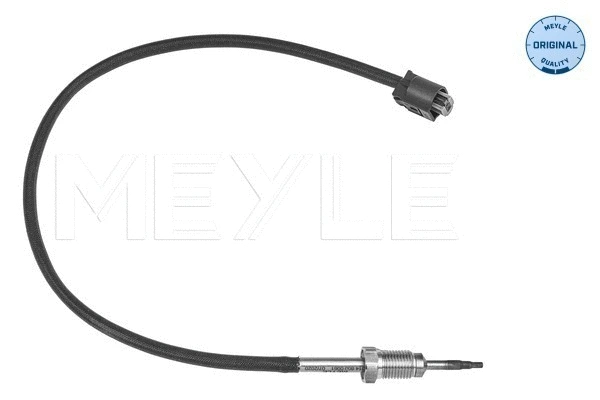 Sensor, exhaust gas temperature (314 800 0061)