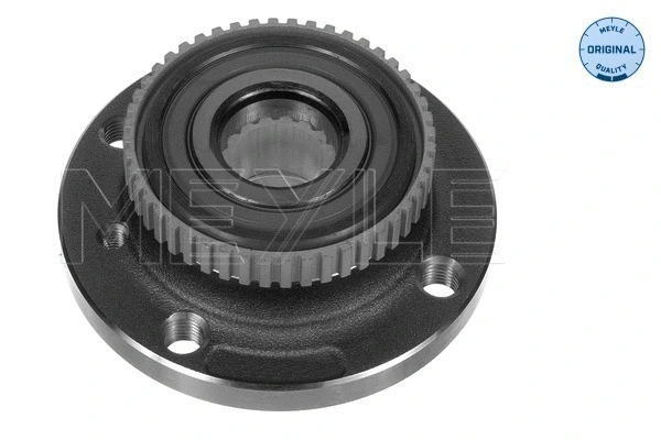 Wheel Hub (300 312 1102)