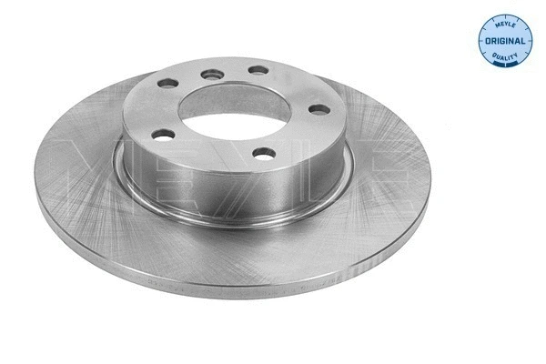 Brake Disc (315 521 0022)