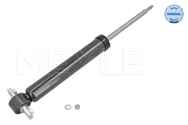 Shock Absorber (726 725 0032)